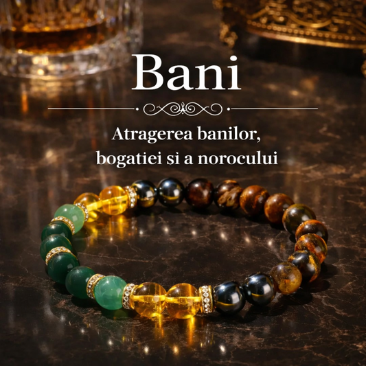 Brățara Prosperității Onyx și Tiger Eye